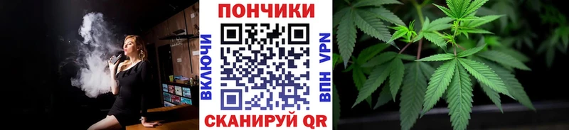 Конопля Amnesia  как найти закладки  Вилюйск 